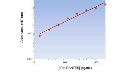 ELISA: CCL5/RANTES ELISA Kit [Biotin] [KA2205] - Standard curve